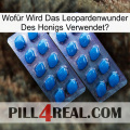Wofür Wird Das Leopardenwunder Des Honigs Verwendet viagra2